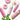 MILKSHAKE Colour Maintainer vegan Flower Fragrance range