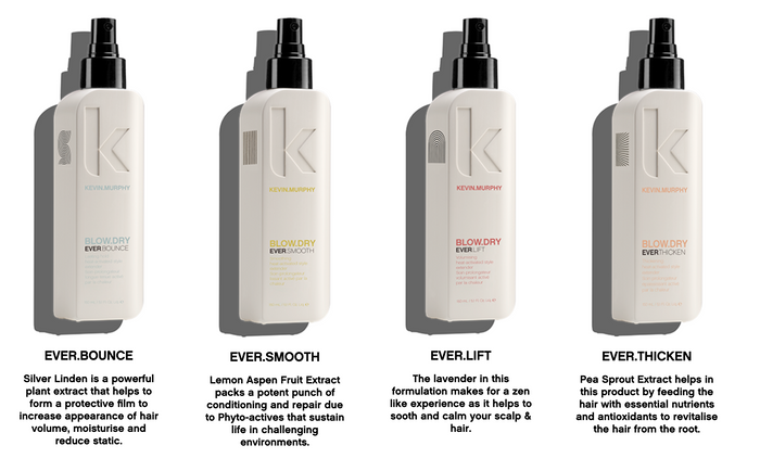 Kevin.Murphy Blow.Dry
