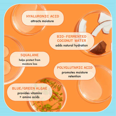 AMIKA Hydro Rush Intense Moisture Shampoo key Ingredients