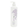 BASE BLONDE ++ SHAMPOO (Limited Edition) 500ml strong purple shampoo toning