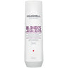 Goldwell Dualsenses Blondes & Highlights Anti-Yellow Shampoo 300ml